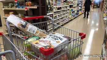 Canadians are dispirited, cutting back on costs amid inflation highs: study