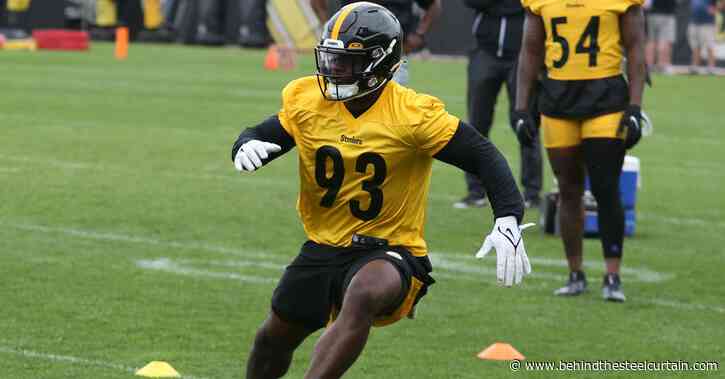 Despite having odds stacked against him, Mark Robinson living the dream with the Steelers