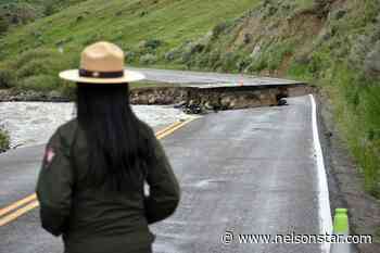 Crowds flock to Yellowstone as park reopens after floods - Nelson Star