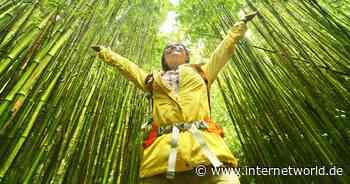 Werbung mit Begriffen wie "klimaneutral" kann gefährlich werden - Internet World