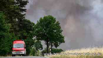 Großbrand weitet sich auf 800 Hektar aus