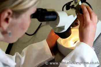 Cervical Screening Awareness Week: Less women in Wakefield having smear test - Wakefield Express