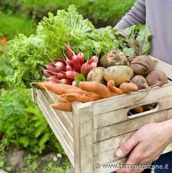 Cresce L'attesa Ad Avezzano Per Il Nuovo Corso Di Laurea UniTE Che Aiuta L'agricoltura Di Qualità » Terre Marsicane - Terre Marsicane