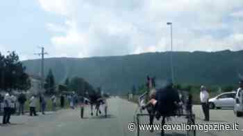 Avezzano: non ci resta che piangere... (o sorridere) - CavalloMagazine