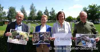 CHIO Aachen: Wer hat das beste Pferdesportfoto gemacht? - Aachener Zeitung