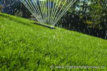 Lawn watering restrictions imposed across Chatham-Kent