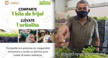 Invita Banco de Alimentos de Hermosillo a donar 1 kilo de frijol a cambio de un árbolito - Proyecto Puente