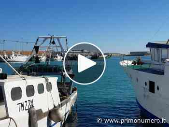 Dalla crisi un possibile spiraglio col pescaturismo: “Termoli ha grandi potenzialità” - Primonumero