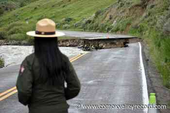 Crowds flock to Yellowstone as park reopens after floods - Comox Valley Record