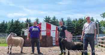 'Strange' planning rule could force popular family farm to shut - Birmingham Live