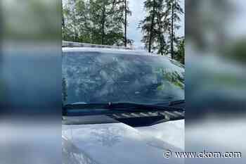 Two arrested in Saskatoon in connection with La Ronge gun call: RCMP - CKOM News Talk Sports