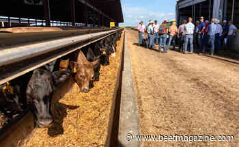 Feedlot Short Course set for Aug. 2-4