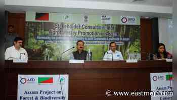 Assam: Industry players, forest dept to harness potential of agroforestry - EastMojo