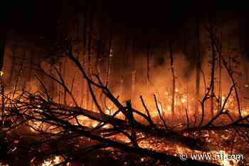 Huge Pinelands forest fire ranks among N.J.’s 20 biggest wildfires on record - NJ.com