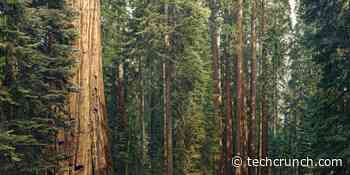 Vibrant Planet raises $17M seed round to grow forest restoration SaaS - TechCrunch