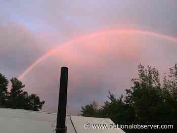 Protesters pack up with a win after camping in Nova Scotia forest for over 200 days - Canada's National Observer