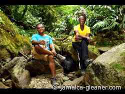 Earth Today | Forest Trek 2022: A window into the world of forests - Jamaica Gleaner