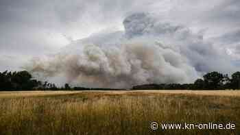 Erste Entwarnung bei Waldbrand - Evakuierungen aufgehoben