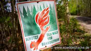 Wetter - Torgau - Höchste Waldbrandgefahr am Wochenende vorhergesagt - Panorama - SZ.de - Süddeutsche Zeitung - SZ.de