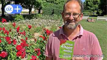 Rostocker Rosengarten: Hobby-Gärtner können Rosen-Retter werden - Ostsee Zeitung
