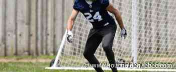 Alouettes : des Québécois qui se démarquent