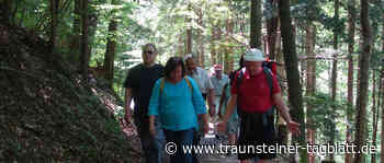 Bad Reichenhall: SPD-Ortsverein Bad Reichenhall wandert mit Dr. Bärbel Kofler »links bergauf« - Traunsteiner Tagblatt