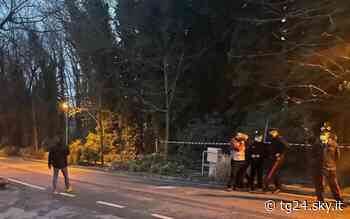 Donna morta Trieste: Procura, attendiamo perizia informatica - Sky Tg24