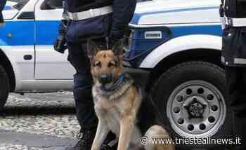 Trieste, controlli in parchi pubblici e condomini ATER per... - Trieste News