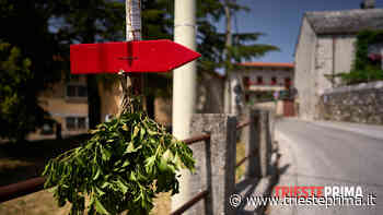 Weekend in osmiza: ecco quelle aperte - TriestePrima