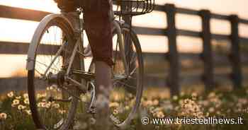 Muggia, Biciplan: al via la raccolta di suggerimenti dei cittadini - Trieste News