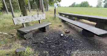 Feuerwehr bereitet sich besser auf Waldbrände vor - Kreis Kaiserslautern - Rheinpfalz.de