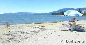 English Bay, 3 other Metro Vancouver beaches closed amid high E. coli levels