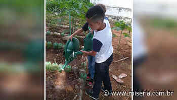 Núcleo de Educação Ambiental de Juazeiro promove a introdução de hortas nas escolas - Site Miséria