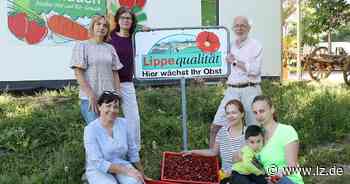 Kochmöglichkeiten für Erdbeermarmelade gesucht | Lokale Nachrichten aus Lemgo - Lippische Landes-Zeitung