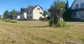 Stadt Lemgo reagiert auf Kritik: "Blühstreifen sind für ein Jahr angelegt" | Lokale Nachrichten aus Lemgo - Lippische Landes-Zeitung