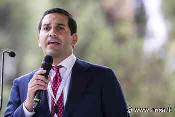 Trasporti:Grimaldi, Marebonus e Ferrobonus siano strutturali - Porti e Logistica - Mare - Agenzia ANSA