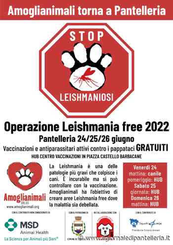 Pantelleria Leishmania Free torna anche quest'anno con l'Associazione Amoglianimali - Il Giornale Di Pantelleria