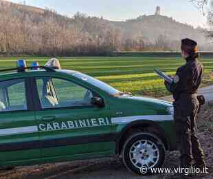 Abusi edilizi nel Cilento, intervento dei carabinieri forestali a Castellabate - Virgilio