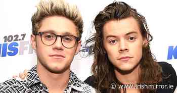 Harry Styles and Niall Horan's wild Dublin night-out as star headbutted at house party - Irish Mirror