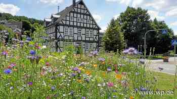 Siegen: Dörfer sauer – Dorfwettbewerb findet ohne sie statt - WP News