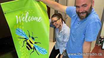 'Bee City' designation has Kingsville buzzing - AM800 (iHeartRadio)