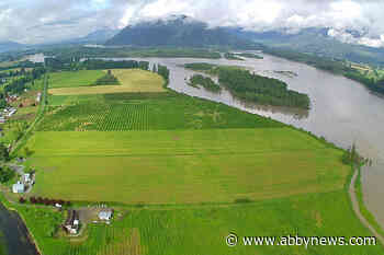 Properties outside dike system on Fraser River in Chilliwack under flooding evacuation alert