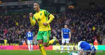 Chris Sutton backs Adam Idah to deliver on potential and provide X-Factor on Norwich return - Irish Examiner