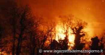 Bari, anche l'Esercito scende in campo per fermare gli incendi boschivi - La Gazzetta del Mezzogiorno