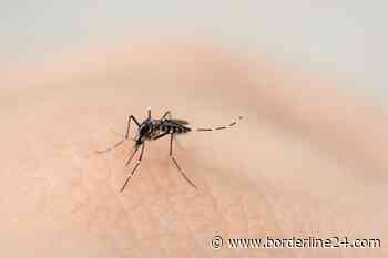 Bari, Pane e pomodoro e Torre Quetta “invivibili”: “Troppe zanzare” - Borderline24.com