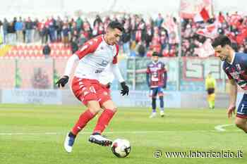 Rep - Botta resta a Bari. A un passo Moncini e Bosisio - La Bari Calcio