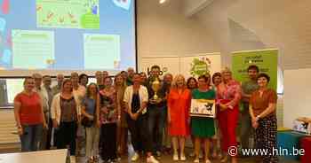 Haaltert en Denderleeuw winnen stappencompetitie tussen gemeenten - Het Laatste Nieuws