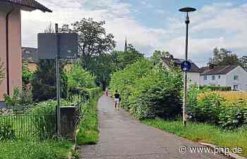 Kapik zu Hecke: "Da braucht man schon fast ein Buschmesser" - Passauer Neue Presse - PNP.de