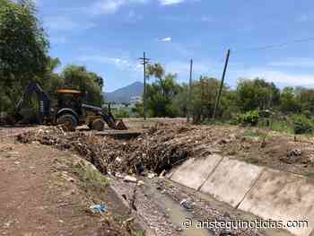 Tepic sufre grandes lluvias y se reportan perdidas materiales: Karina Cancino | Video - Aristegui Noticias
