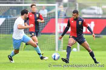 Sky Sport: Andrenacci resta a Brescia, il Genoa controriscatta Charpentier - PianetaGenoa1893 - Pianetagenoa1893.net